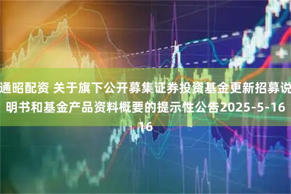 通昭配资 关于旗下公开募集证券投资基金更新招募说明书和基金产品资料概要的提示性公告2025-5-16