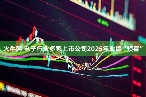 火牛网 电子行业多家上市公司2025年业绩“预喜”