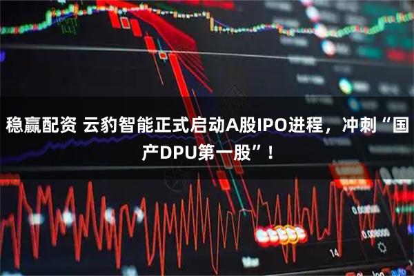 稳赢配资 云豹智能正式启动A股IPO进程，冲刺“国产DPU第一股”！